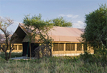 Serengeti Safari Lodges Camps Accommodation Tanzania