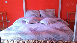 Spider Lake Lodge Meru Hotels Spider Lake Lodge Meru Hotels