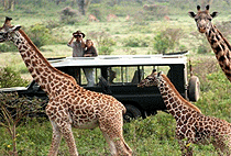 Tanzania Flying Safaris Tanzania Flying Safaris