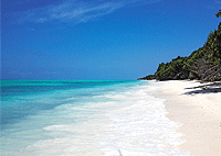 Zanzibar Day Trips City Tours Mangapwani Coral Cave + Nungwi Village Day Tour Zanzibar Day Trips City Tours Mangapwani Coral Cave + Nungwi Village Day Tour