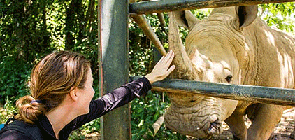 Kampala 1 Day Tour Uganda Wildlife Education Center Trip Kampala 1 Day Tour Uganda Wildlife Education Center Trip