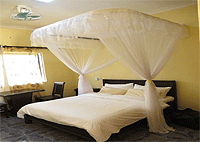 Basecha Garden Lodge Moshi Hotels Tanzania