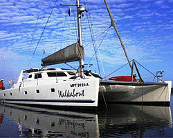 Zanzibar Deep Sea Fishing Tours big-game-fishing-zanzibar