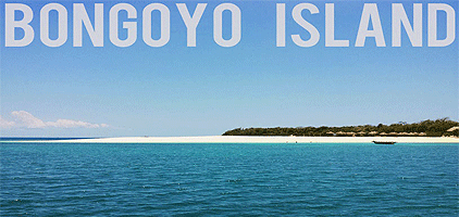 Dar-es-salaam 1 Day Tour Bongoyo Island Day Trip Dar-es-salaam 1 Day Tour Bongoyo Island Day Trip