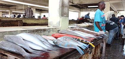 Dar-es-Salaam City Tour Full Day Excursion Dar-es-Salaam City Tour Full Day Excursion