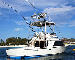 Zanzibar Deep Sea Fishing deep-sea-fishing-zanzibar