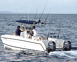 Zanzibar Deep Sea Fishing deep-sea-zanzibar-fishing