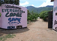 Evergreen Lodge Moshi Hotels Tanzania