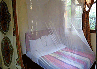 Experience Tanzania Moshi Moshi Hotels Tanzania