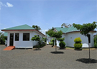 Gwajehe Lodge Arusha Hotels 