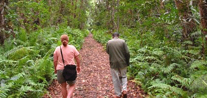 Jozani Forest Tour Zanzibar Day Trip Jozani Forest Tour Zanzibar Day Trip