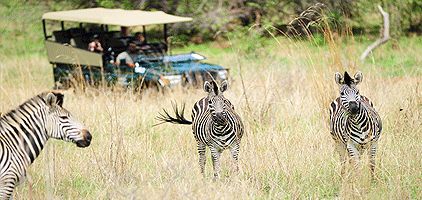 Kampala 1 Day Tour Lake Mburo National Park Kampala 1 Day Tour Lake Mburo National Park