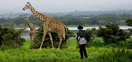 Lake Naivasha 1 Day Trip Safari lake-naivasha-day-tour