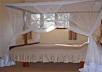 Le Jacaranda Hotel Arusha Hotels 