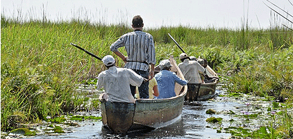 Kampala 1 Day Trip Mabamba Bay Wetland Birding Tour Kampala 1 Day Trip Mabamba Bay Wetland Birding Tour