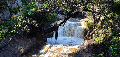 Kampala Day Tour Mabira Forest Reserve Nature Walk Trip Kampala Day Tour Mabira Forest Reserve Nature Walk Trip