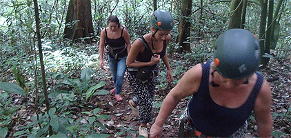 Kampala Day Tour Mabira Forest Reserve Nature Walk Trip Kampala Day Tour Mabira Forest Reserve Nature Walk Trip