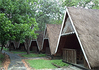 Mara Concord Game Lodge Masai Mara Luxury Lodges Hotels Tented Safari Camps