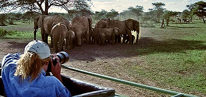 Dar es salaam 1 Day Tours Mikumi National Park Safari Dar es salaam 1 Day Tours Mikumi National Park Safari