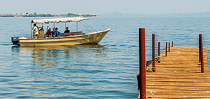 Kampala Day Tour Ngamba Island Chimps Sanctuary Safari Kampala Day Tour Ngamba Island Chimps Sanctuary Safari