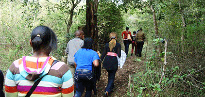 Ngong Forest Sanctuary Nairobi Walking Day Tour Ngong Forest Sanctuary Nairobi Walking Day Tour