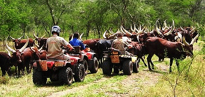 Kampala Day Trip Quad bike Safari Jinja River Nile Kampala Day Trip Quad bike Safari Jinja River Nile