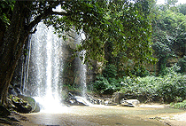 Shimba Hills National Reserve Mombasa South Coast 