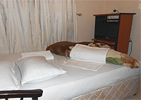Staff Inn Annex Iringa Hotels Lodges Resorts Accommodation Tanzania