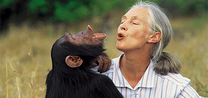 Kampala 1 Day Tour Uganda Wildlife Education Center Trip Kampala 1 Day Tour Uganda Wildlife Education Center Trip