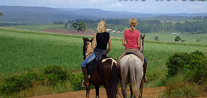 Kampala 1 Day Trips Horseback Riding Jinja Tour Kampala 1 Day Trips Horseback Riding Jinja Tour