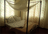 Visionary Lodge Arusha Hotels 