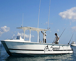 Zanzibar Deep Sea Fishing zanzibar-big-game-fishing