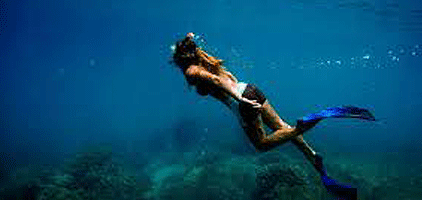 Zanzibar Chumbe Island Coral Park Day Trip Zanzibar Chumbe Island Coral Park Day Trip