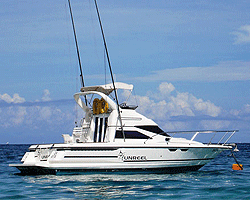 Zanzibar Deep Sea Fishing zanzibar-deep-sea-fishing