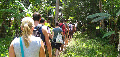 Zanzibar Spice Tour Half Day Trip Zanzibar Spice Tour Half Day Trip