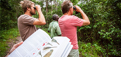 Mombasa Day Tour Arabuko Sokoke Forest Walk Mida Creek Mombasa Day Tour Arabuko Sokoke Forest Walk Mida Creek