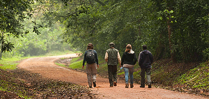 Kisumu Day Trip Kakamega Rainforest 1 Day Tour Kisumu Day Trip Kakamega Rainforest 1 Day Tour