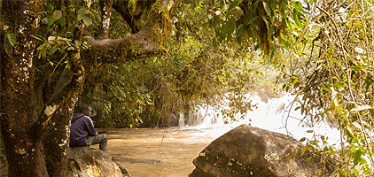 Kisumu Day Trip Kakamega Rainforest 1 Day Tour Kisumu Day Trip Kakamega Rainforest 1 Day Tour