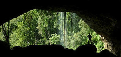 Kisumu Day Tours Mount Elgon National Park 1 Day Trip Kisumu Day Tours Mount Elgon National Park 1 Day Trip