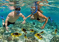 Malindi City Tours 1 Day Trips Safaris