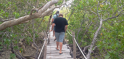 Mombasa Day Tour Arabuko Sokoke Forest Walk Mida Creek Mombasa Day Tour Arabuko Sokoke Forest Walk Mida Creek