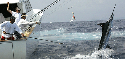 Mombasa 1 Day Tours Deep Sea Fishing Big Game Fishing Mombasa 1 Day Tours Deep Sea Fishing Big Game Fishing