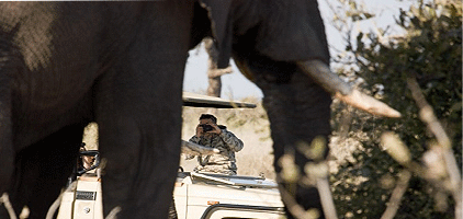 Kisumu Day Tours Mount Elgon National Park 1 Day Trip Kisumu Day Tours Mount Elgon National Park 1 Day Trip