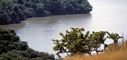 Kisumu Day Tours Ndere Island National Park 1 Day Trip Kisumu Day Tours Ndere Island National Park 1 Day Trip