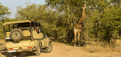 Kisumu Day Tours Ruma National Park 1 Day Safari Kisumu Tours Kisumu Day Tours Ruma National Park 1 Day Safari Kisumu Tours