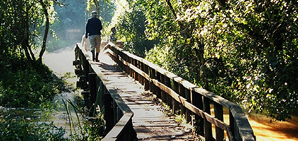 Kisumu Day Tours Saiwa Swamp National Park 1 Day Trip Kisumu Day Tours Saiwa Swamp National Park 1 Day Trip