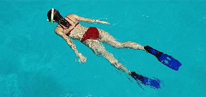 Mombasa 1 Day Tour Scuba Diving Kisite Marine Park Mombasa 1 Day Tour Scuba Diving Kisite Marine Park