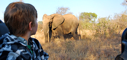 Mombasa 1 Day Tours Shimba Hills National Reserve Safari Mombasa 1 Day Tours Shimba Hills National Reserve Safari