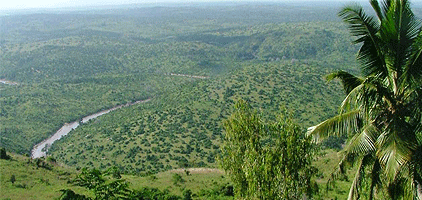 Mombasa 1 Day Tours Shimba Hills National Reserve Safari Mombasa 1 Day Tours Shimba Hills National Reserve Safari
