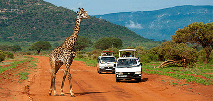 Mombasa Day Trips Tsavo East National Park 1 Day Safari Mombasa Day Trips Tsavo East National Park 1 Day Safari